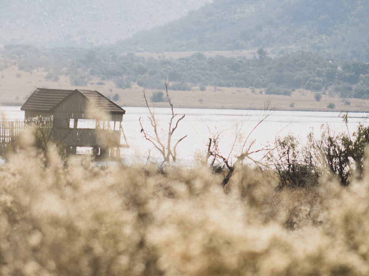 7 Day Bush Healing: Rest & Recover in Ancient Spring,South Africa 1