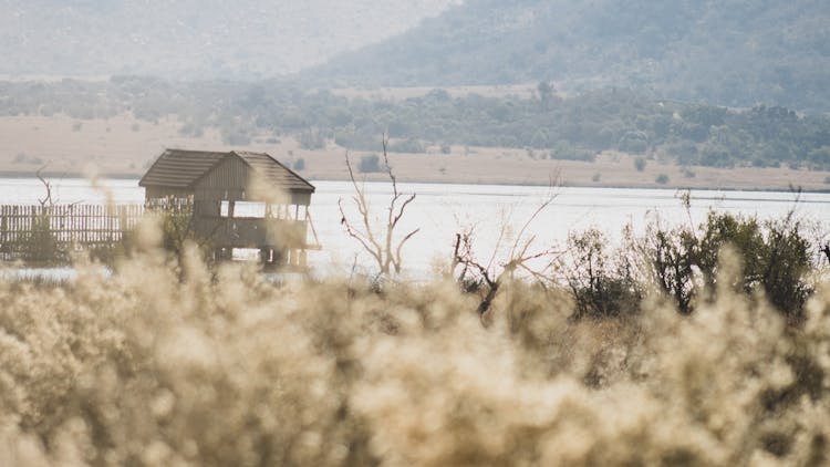 Hut Near Lake