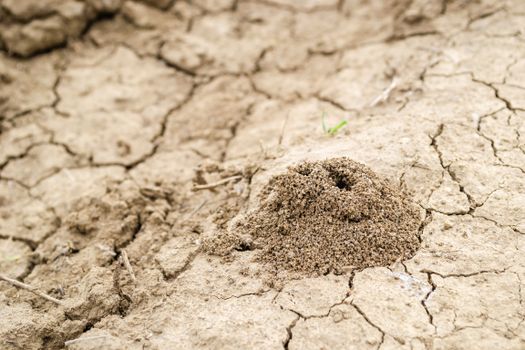 How to Build an AI-Powered Weather ETL Pipeline with Databricks and GPT-4o: From API To Dashboard - AI news coverage from Towards Data Science in Research
