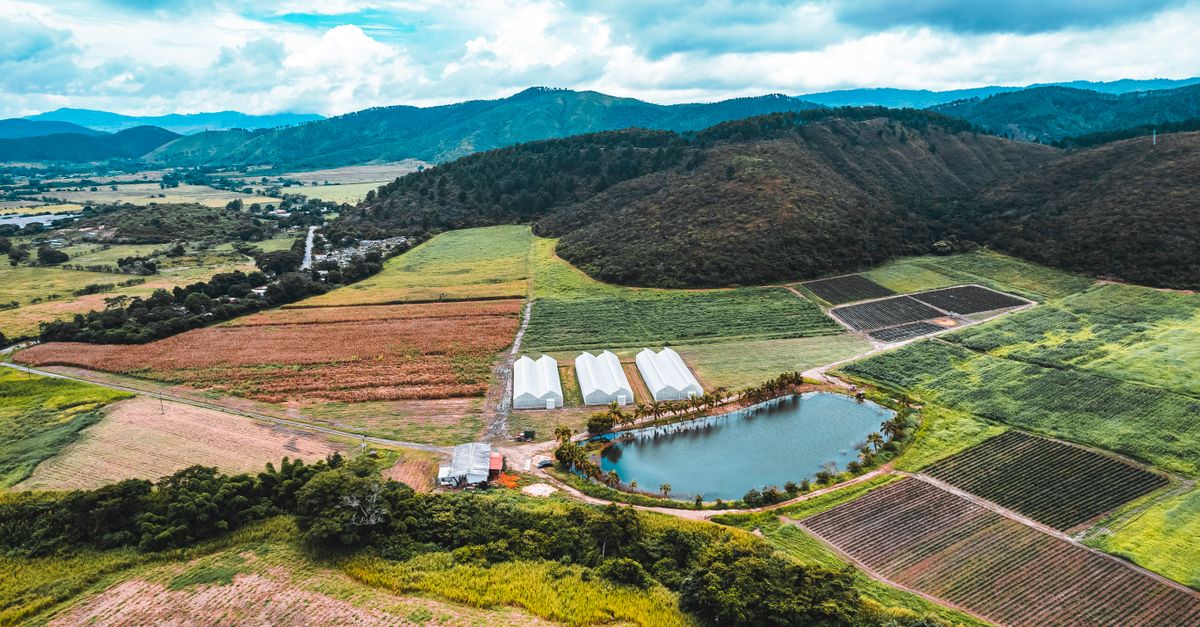 Jinotega lidera la diversificación agrícola con innovación y responsabilidad social Jinotega lidera la diversificación agrícola con innovación y responsabilidad social