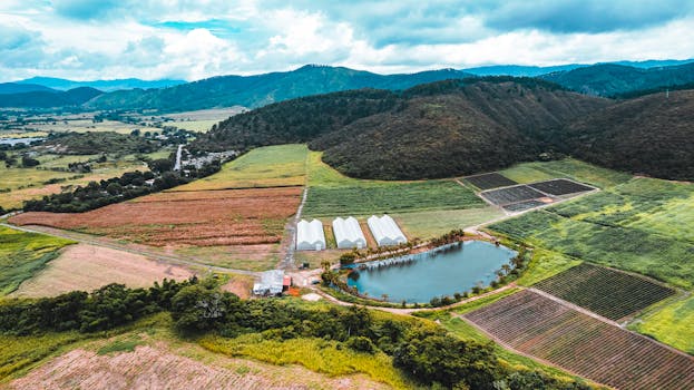 Drone aerial view of Salom, Yaracuy farmlands with mountains and a lake.