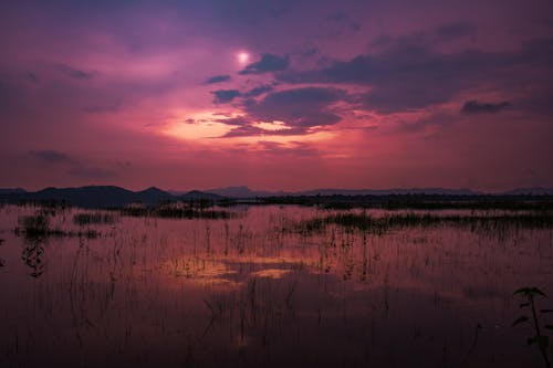 bezplatná Základová fotografie zdarma na téma jezero, mraky, odraz Základová fotografie