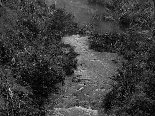 無料 グレースケール, モノクローム, 川の無料の写真素材 写真素材
