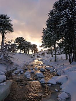 Serene winter scene of a snow-covered stream surrounded by a forest in Pino Hachado.
