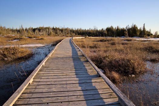 Rural Boardwalk during the Spring Thaw
