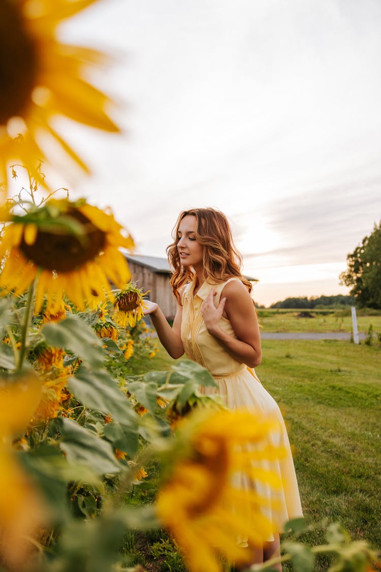 Woman In Dress With Sunflowers