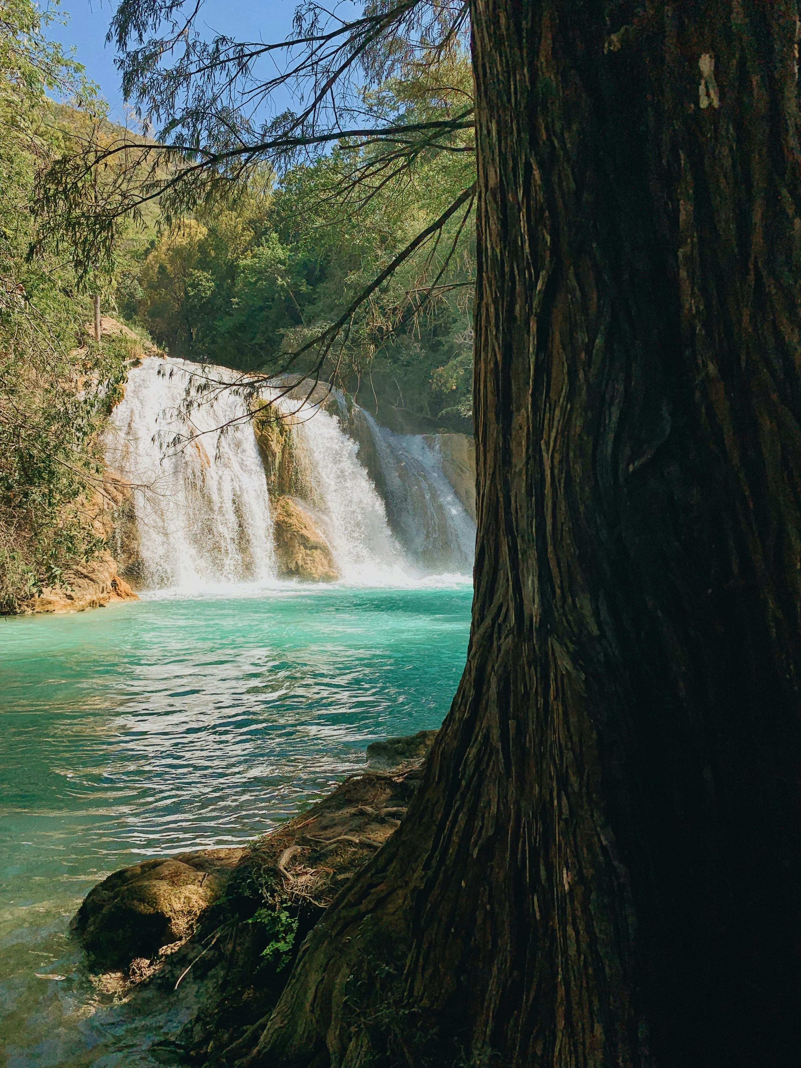 Lacanjá Chansayab - Cascadas en la Selva