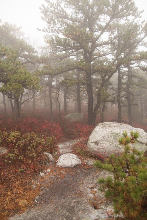 Parks With Rocks Big Rocks in a Nature's Park · Free Stock Photo
