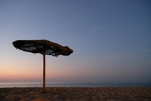 Free stock photo of beach, early morning, parasol