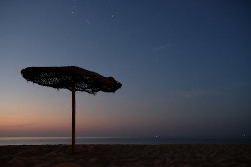 Free stock photo of beach, early morning, parasol