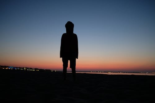 Free stock photo of beach, early morning, parasol