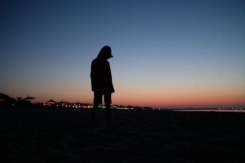 Free stock photo of beach, early morning, parasol