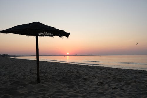 Free stock photo of beach, early morning, parasol