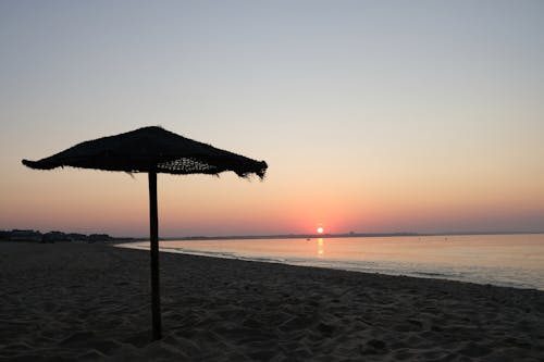 Free stock photo of beach, early morning, parasol