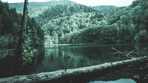 Fotografía De Paisaje De Cuerpo De Agua