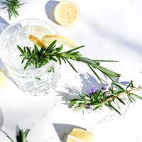 Yuzu sparkling drink — Studio Naae on Pexels