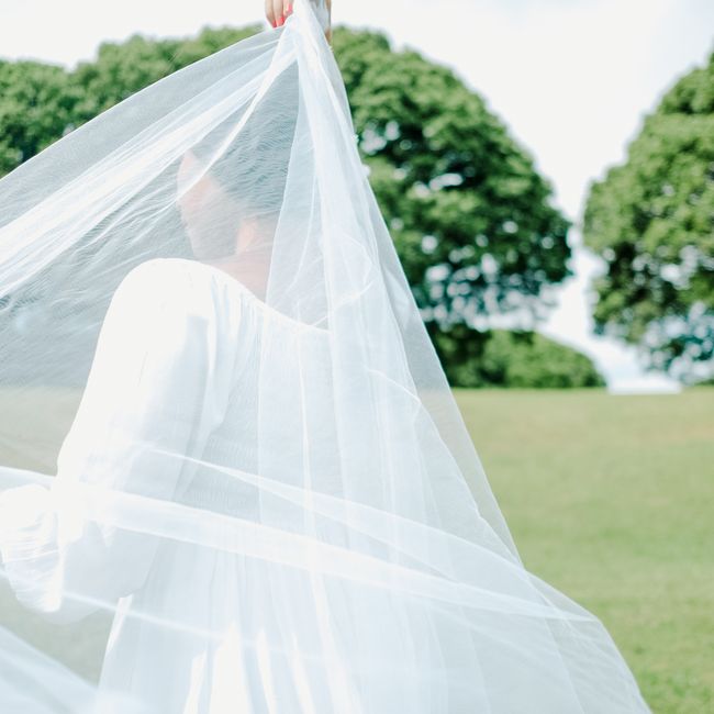 Back view of a bride with a flowing veil on a sunny day in a green field.
