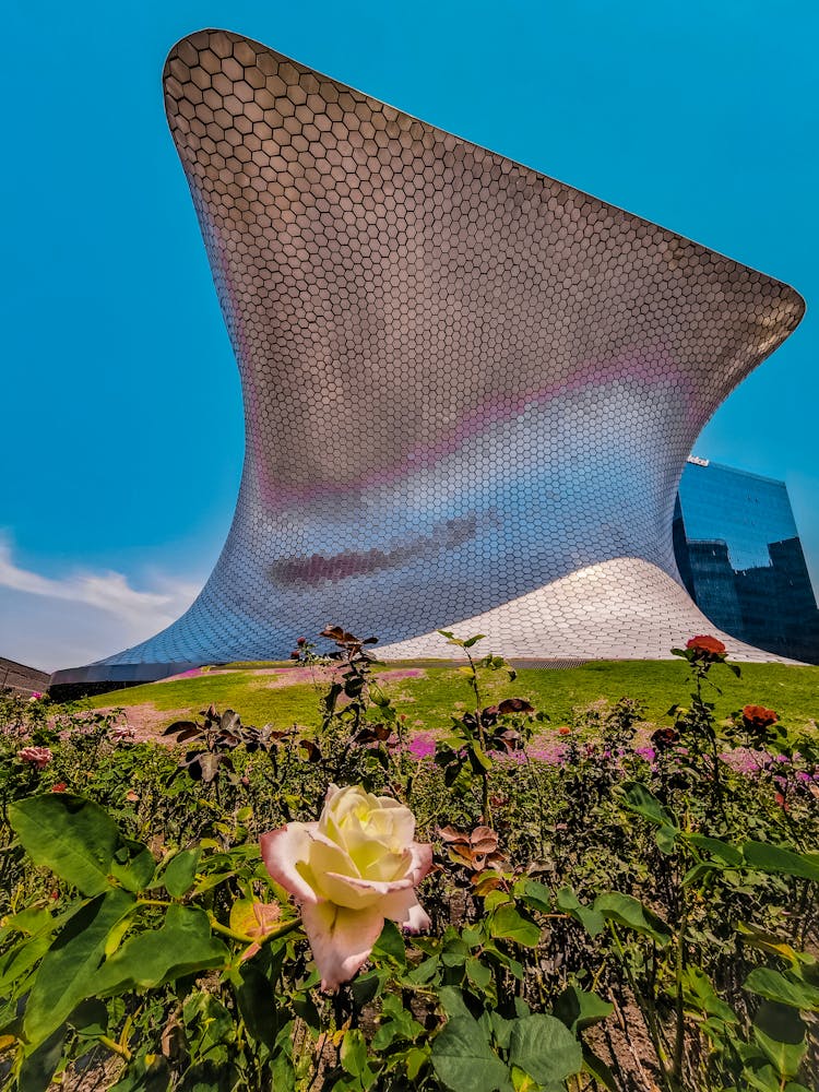 Soumaya Museum Near Blooming Flowers 