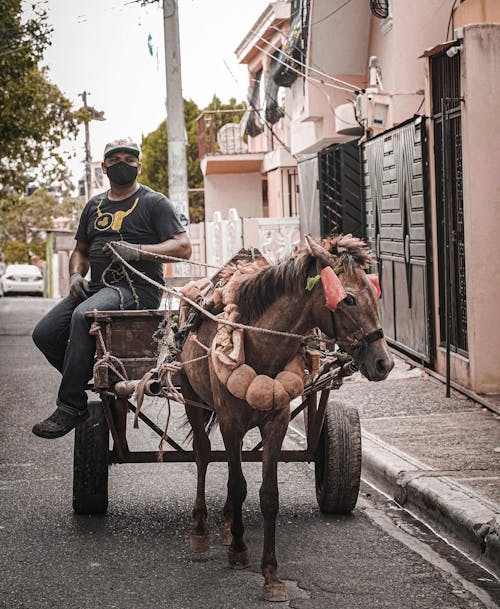 A Man Riding a Horse Carriage