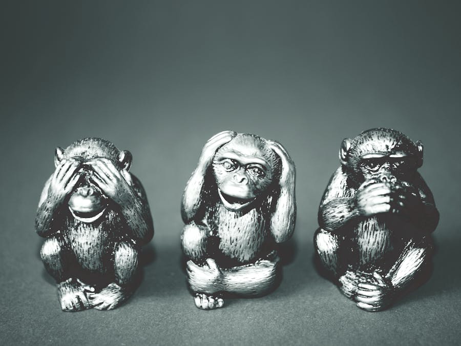 What are three reasons referrals?