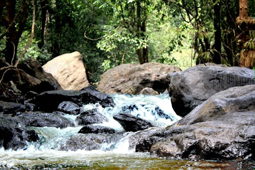 Photos gratuites de cascade