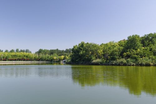 Free Serene lakeside view with trees under a clear blue sky, perfect for nature lovers. Stock Photo