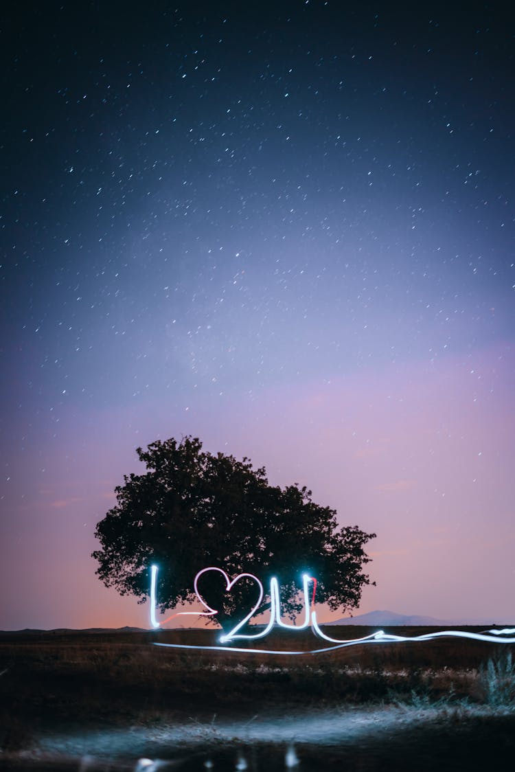 Love Confession In Lights Against A Tree At Sunset