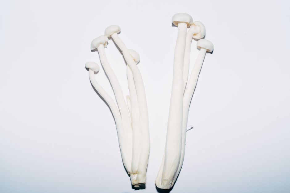 Champiñones enoki frescos con sus tallos blancos característicos agrupados en racimo sobre superficie blanca