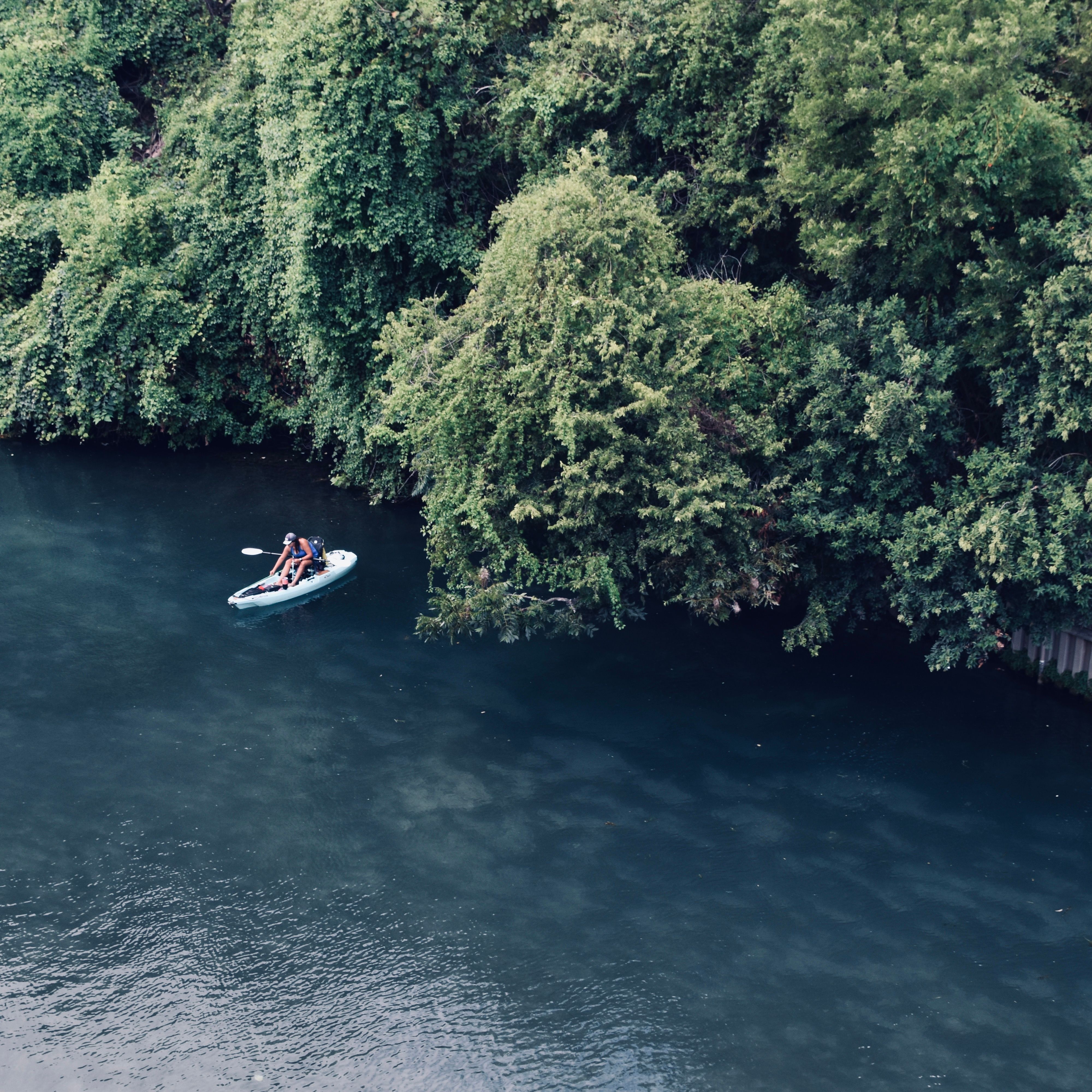 Aerial photo of kayakers paddling through the lush greenery of the Comal River in New Braunfels, Texas.
