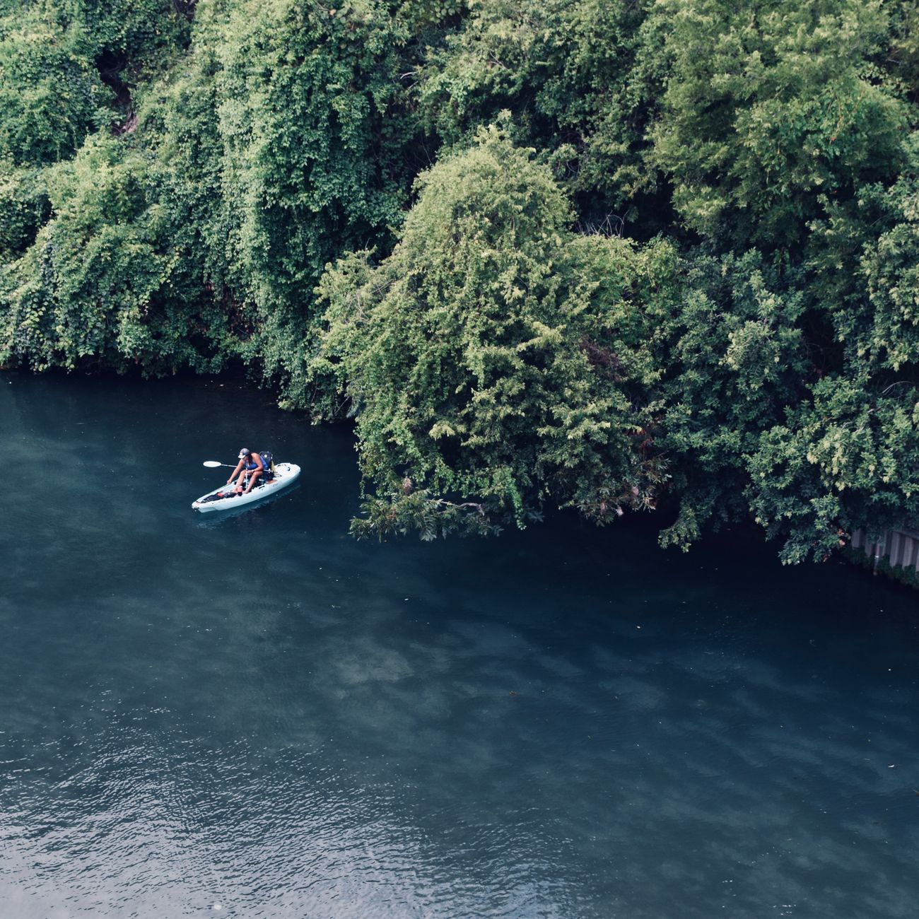 Aerial photo of kayakers paddling through the lush greenery of the Comal River in New Braunfels, Texas.