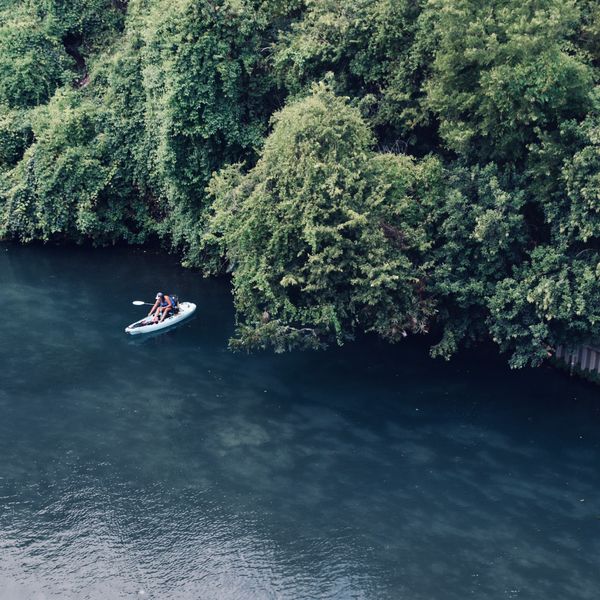 Two paddlers crossing a wooded lake — photo by Lesli Whitecotton on Pexels