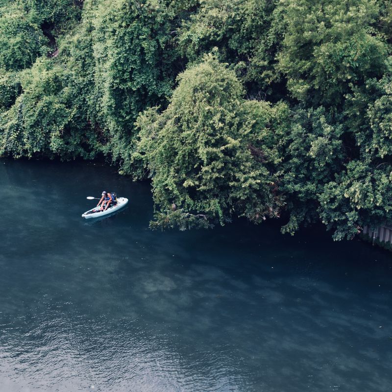 Kayaking on a forest river