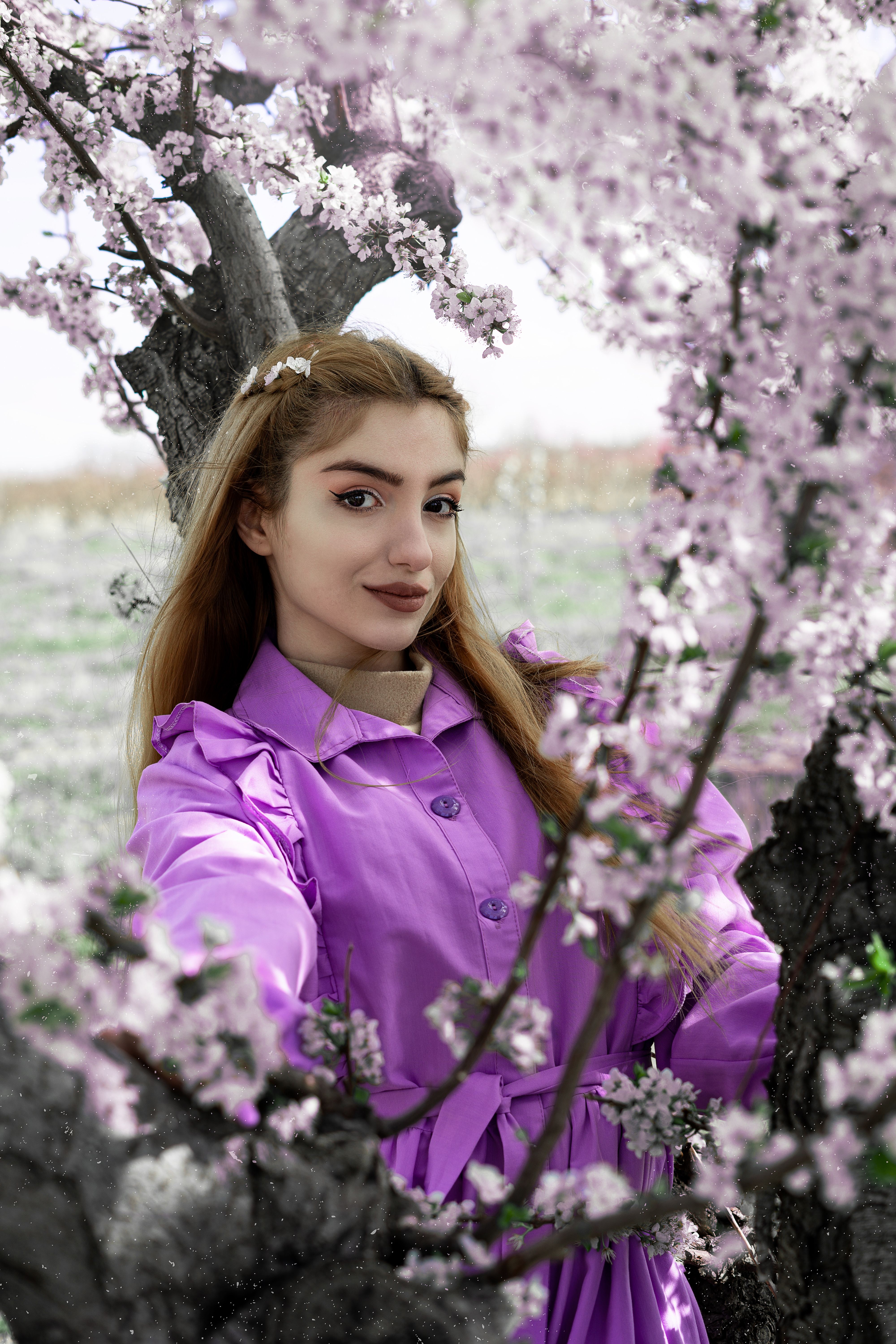 Woman in Purple Long Sleeve Dress Sitting Beside a Tree · Free Stock Photo