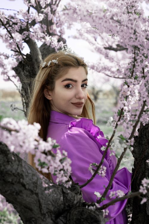 Free A woman in a vibrant purple top smiles among cherry blossoms in Tehran, showcasing spring style. Stock Photo