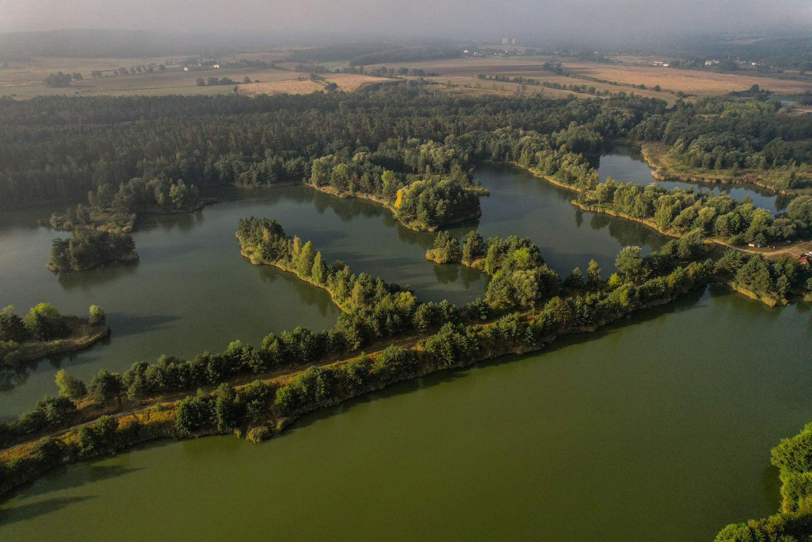 Aerial view of forest and water — photo by Radoslaw Sikorski on Pexels