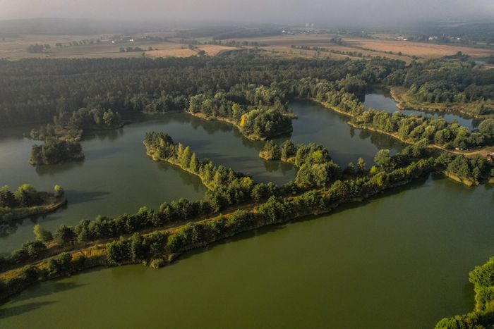 Aerial view of forest meeting still water — photo by Radoslaw Sikorski on Pexels