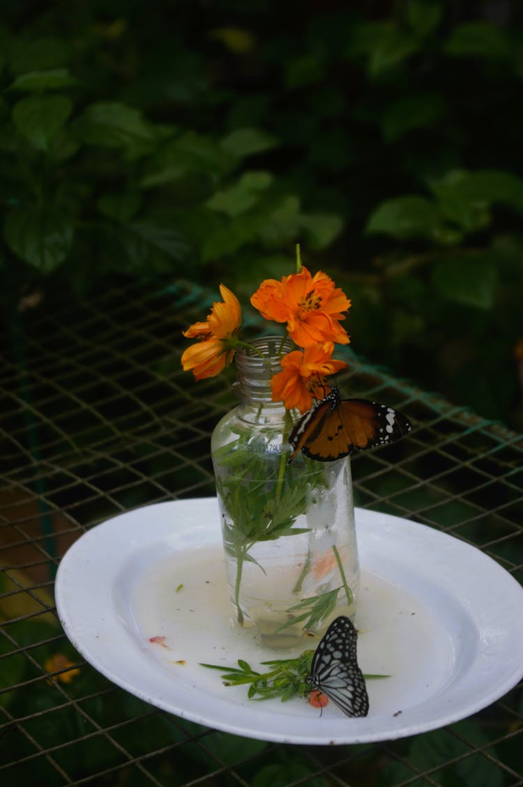 Butterflies Around Bottle With Flowers