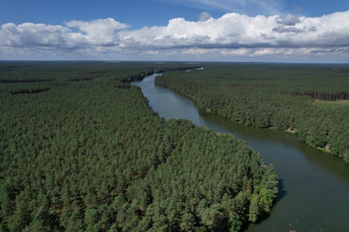 Kostenloses Stock Foto zu bäume, drohne erschossen, fluss