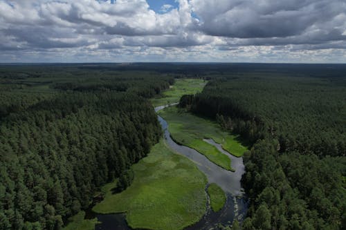 Aerial View of a River Flowing between Forests 