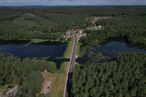 Photo of a Bridge on a River 