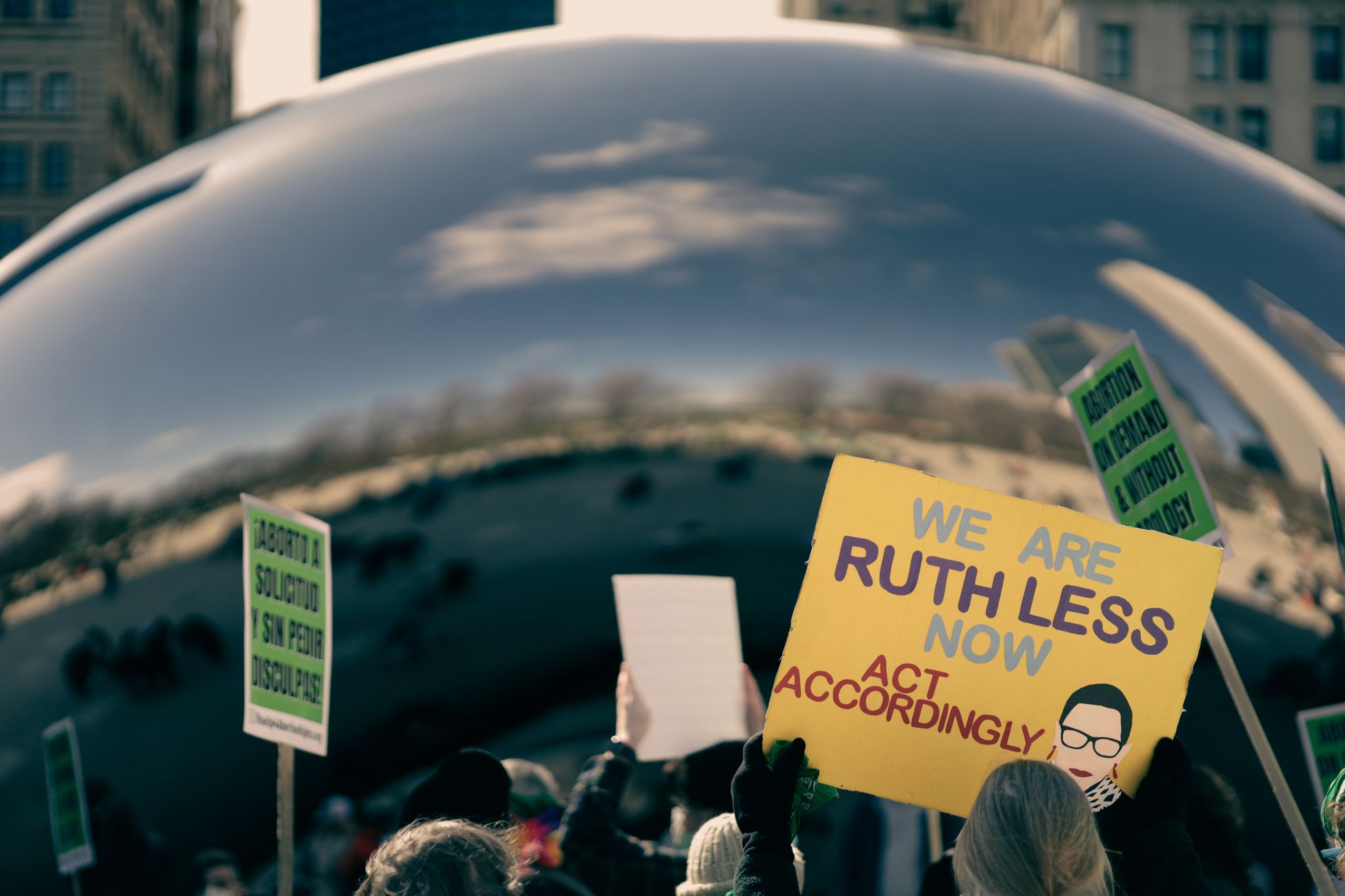 The Federalist Argues Prioritizing Pet Surgery Over Abortion is Morally Reprehensible