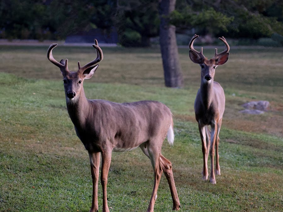 Photo by David Kanigan