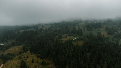 Free Aerial view of a fog-covered forest and mountains in Yablunytsya, Ukraine. Stock Photo