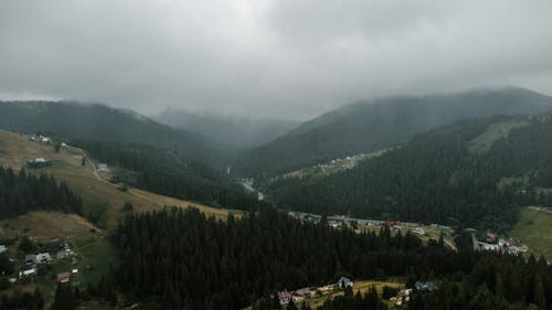 Ingyenes stockfotó dombok, drónfelvétel, erdő témában