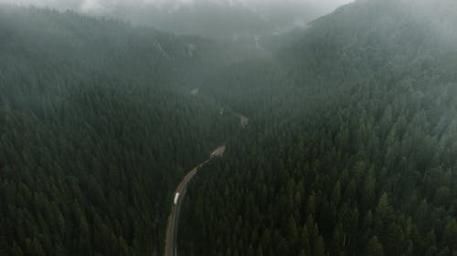 An Aerial Photography of Carpathian Mountains