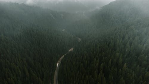 喀尔巴阡山脉, 天性, 景觀 的 免费素材图片