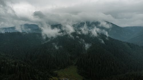 Clouds over Forest in Mountains