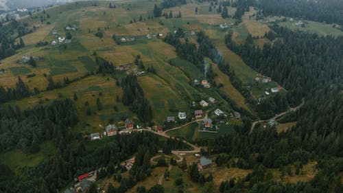 Imagine de stoc gratuită din arbori, câmpuri, case