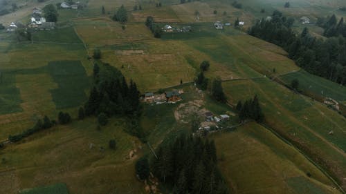 Foto stok gratis bidang, fotografi udara, lahan pertanian