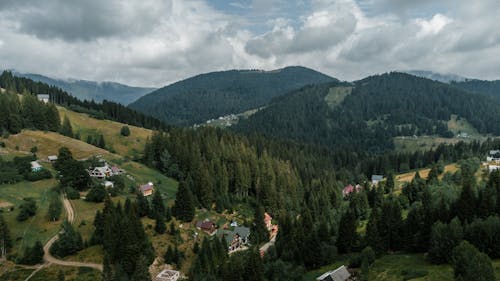 Imagine de stoc gratuită din case, conifere, fotografie din aer